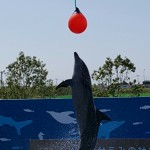 20160831_101659_resized