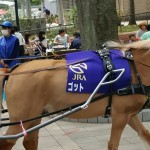 20170507_125633_resized