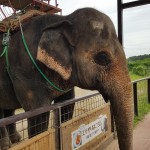 20170828_140759_resized